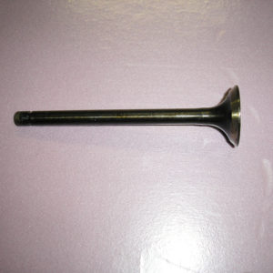 Exhaust Valve