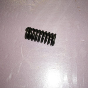 Inner Valve Spring