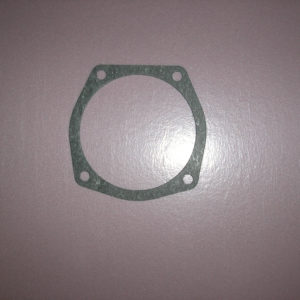 Fuel Filter Gasket
