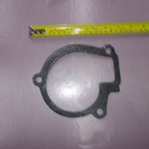 Water Pump Gasket